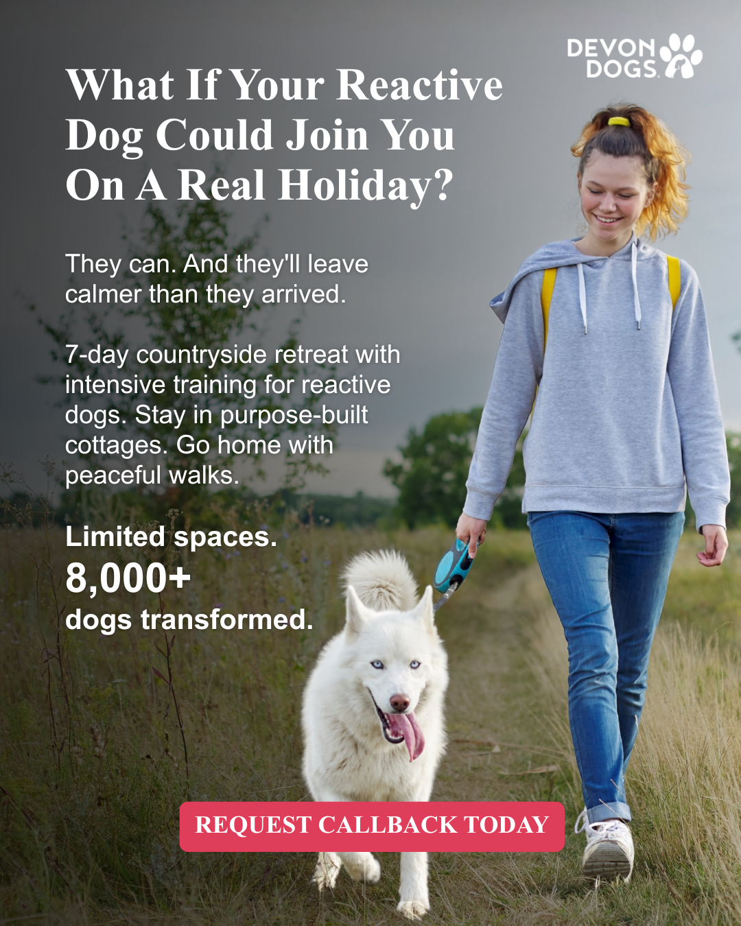 absoluteDOGS Facebook ad: Your Dog's Breakthrough Week