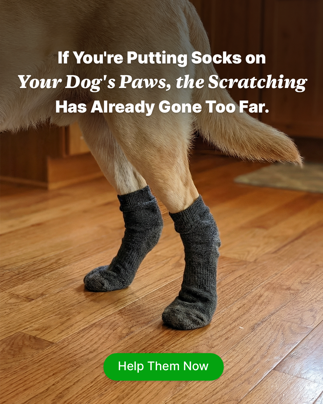 PetLab Co. Facebook ad