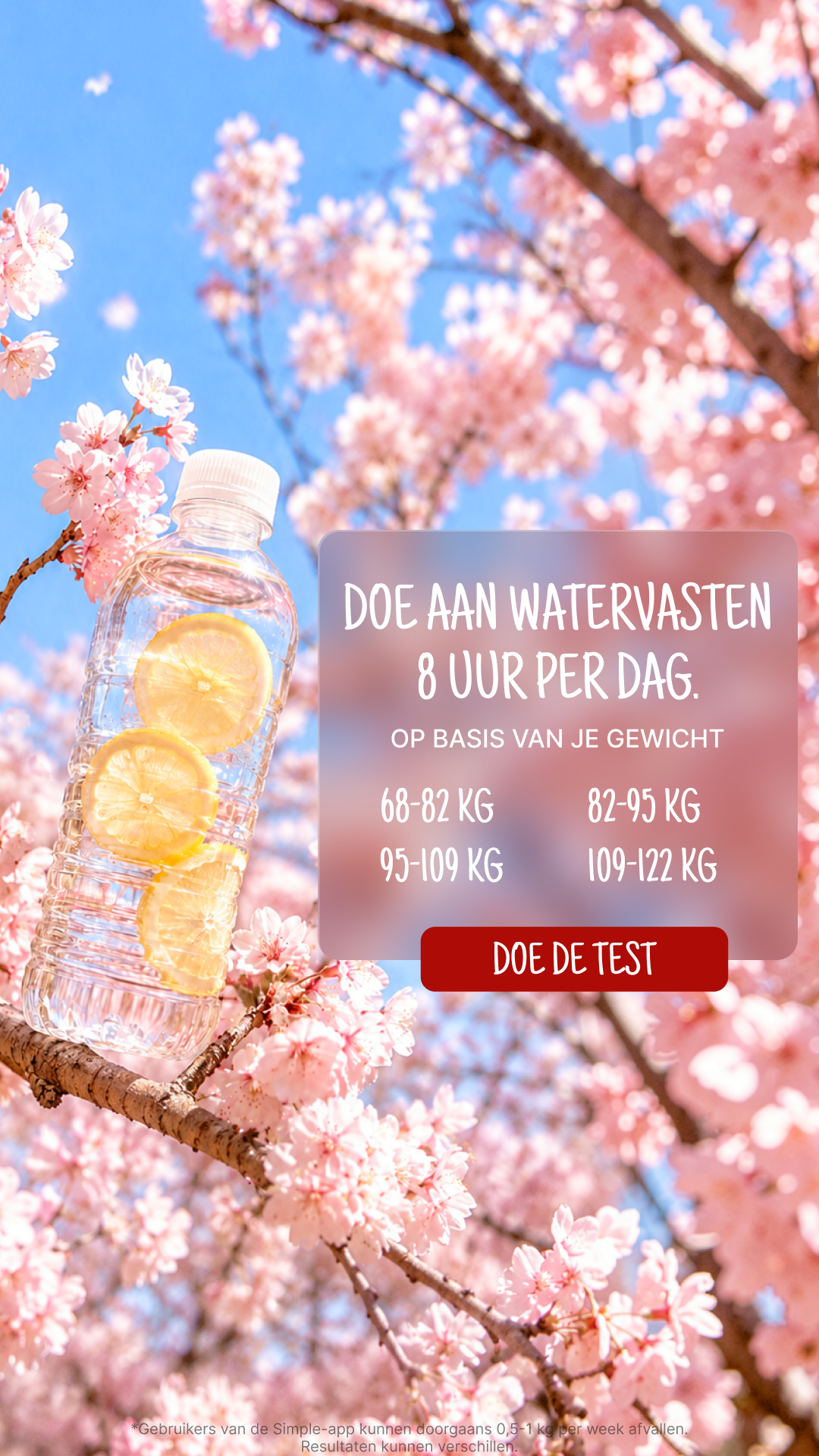 Мy 28 Day Challenge Facebook ad