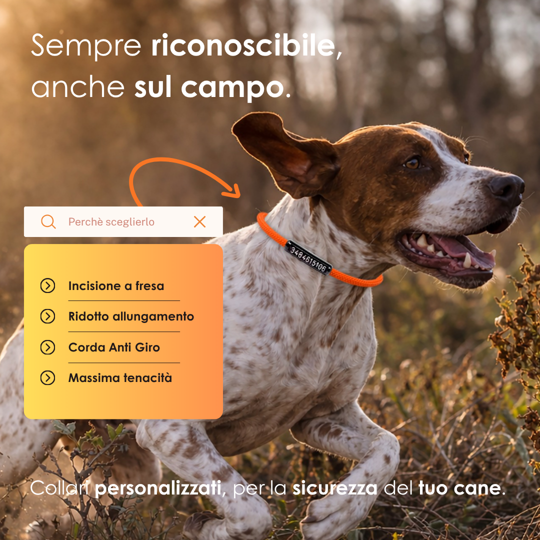 Cinofilia Panno Facebook ad