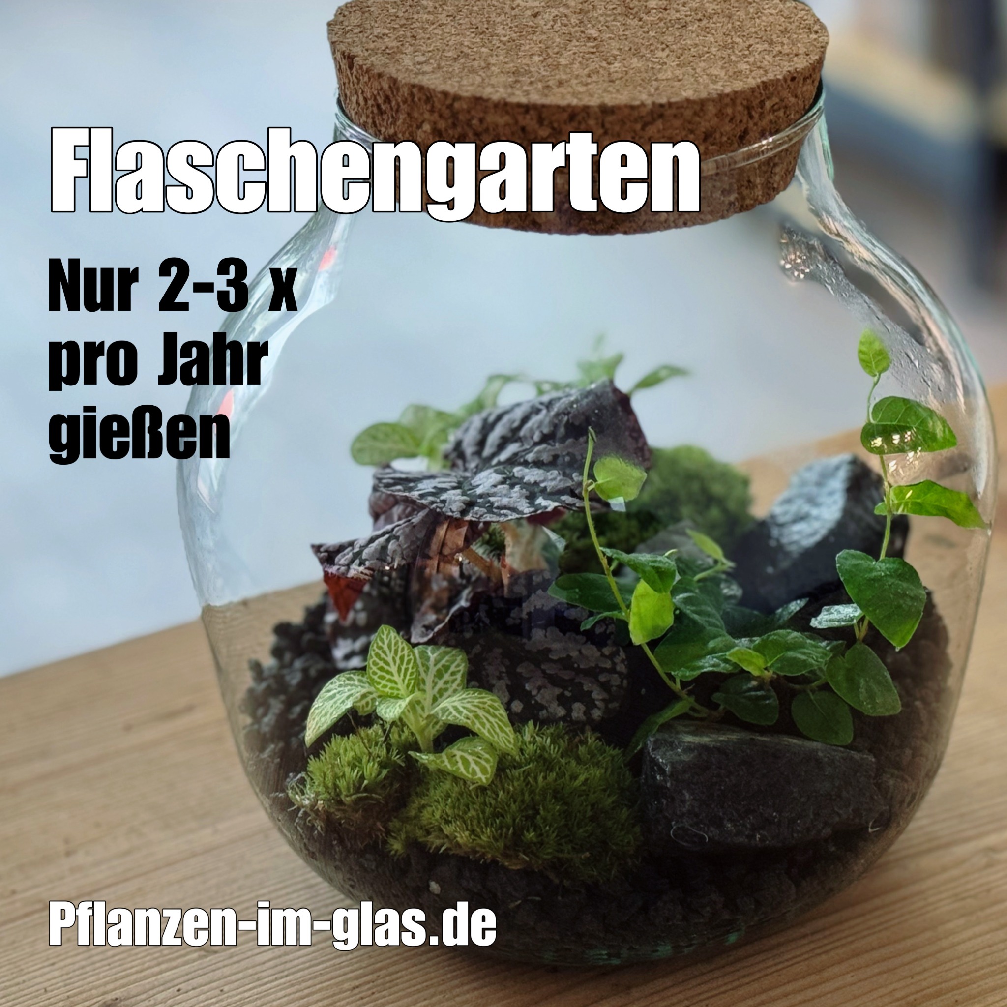 pflanzenimglas Facebook ad