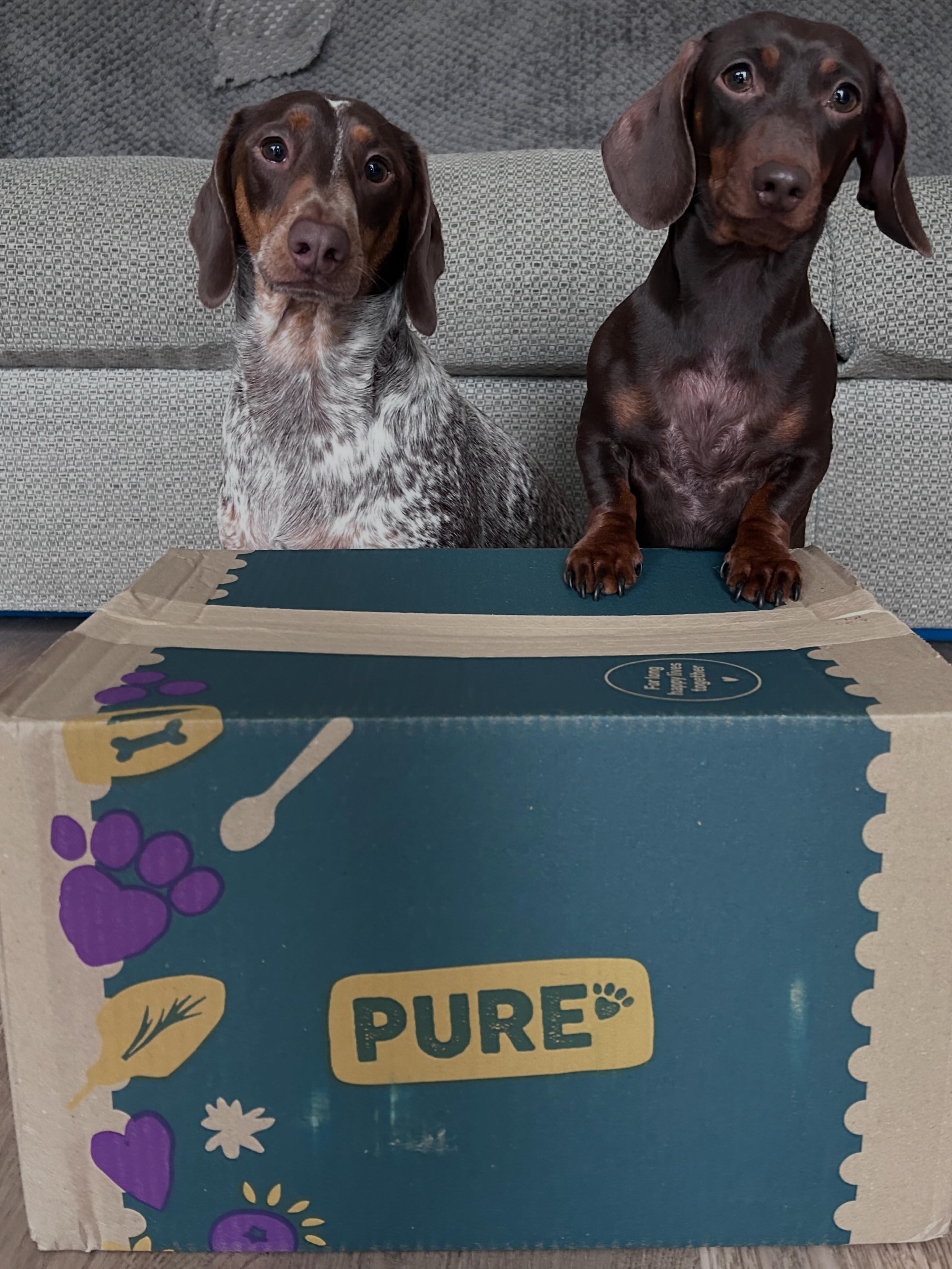 duggee.and.dora Facebook ad