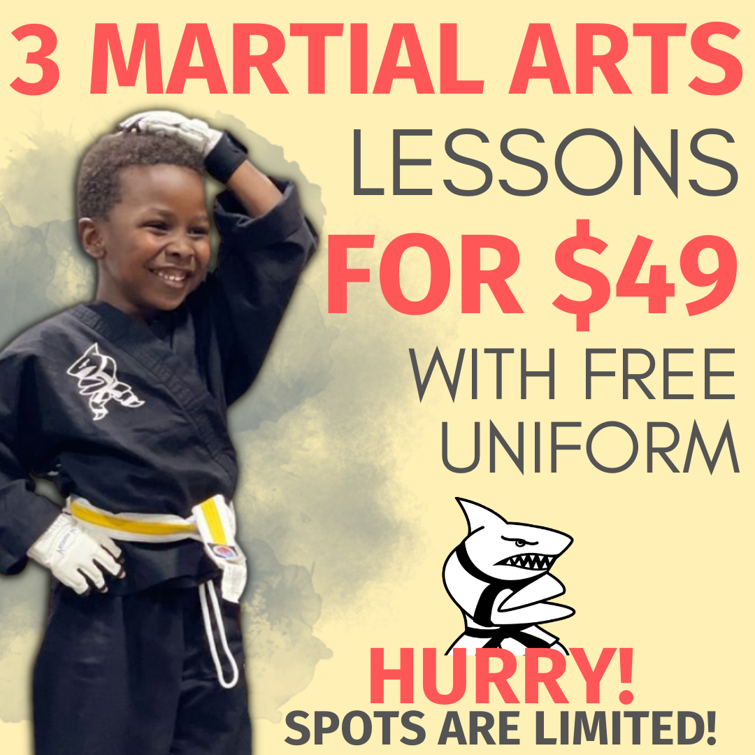 Action Karate South Philly Facebook ad
