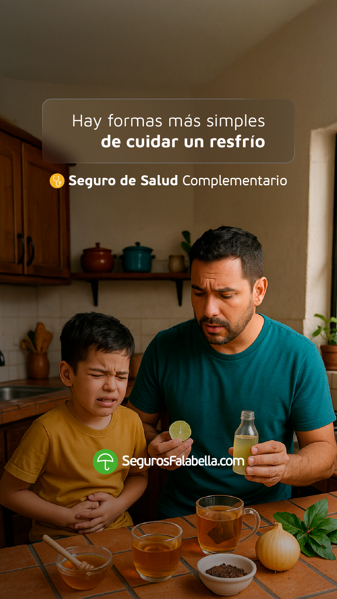 Seguros Falabella Chile Facebook ad