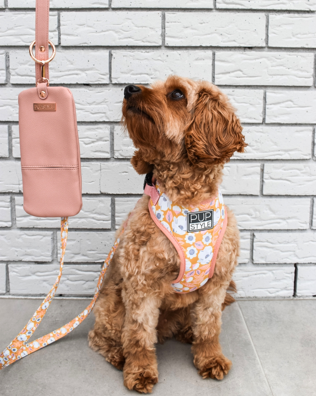 PUPSTYLE Store Facebook ad