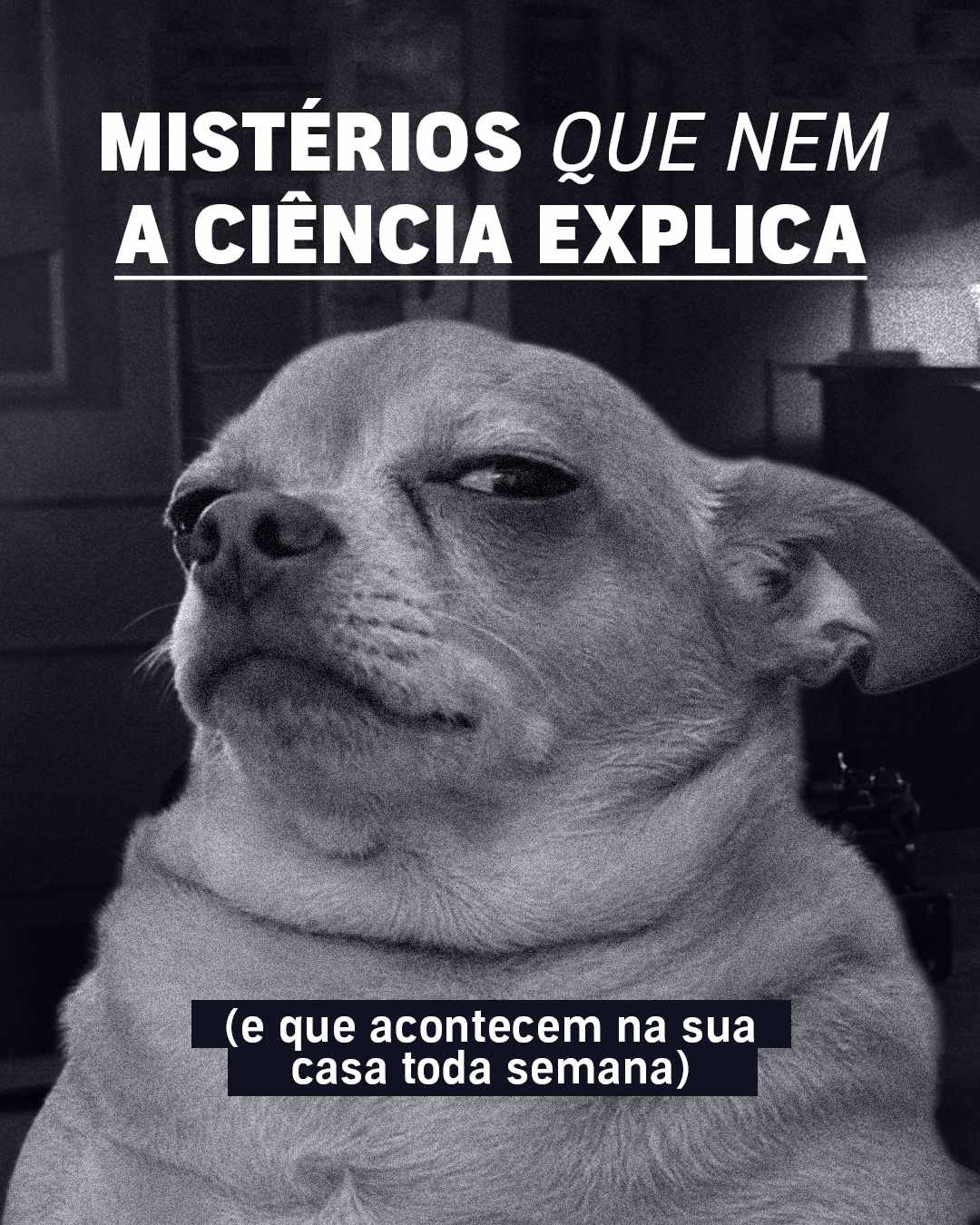 Audible Facebook ad: A vida em casa é um eterno trabalho…