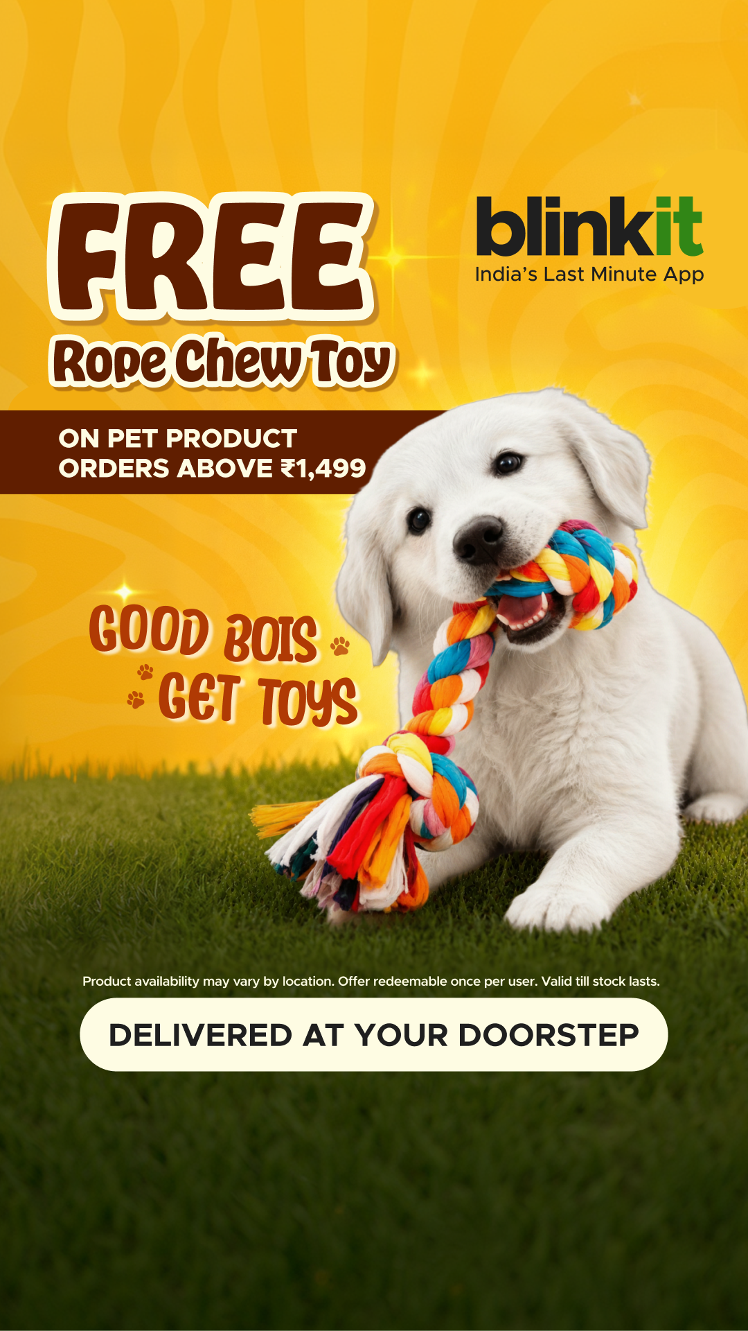 blinkit Facebook ad