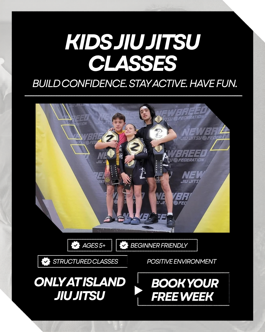 Island Jiu Jitsu Michigan Facebook ad