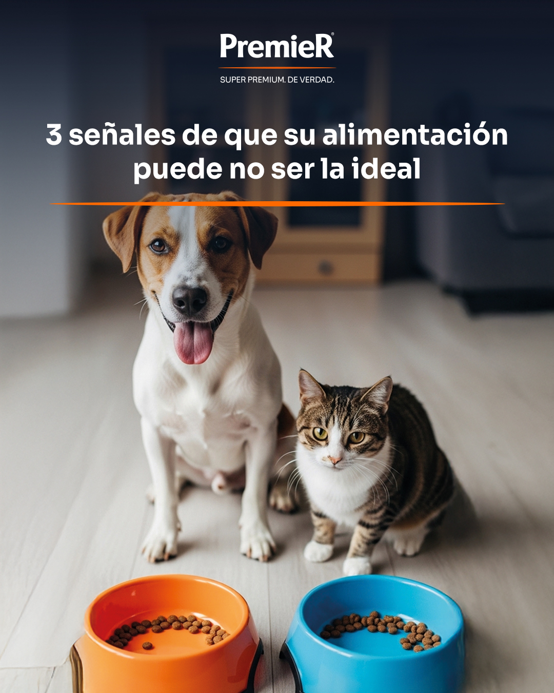 PremieRpet Latam Facebook ad: ¿Sabías que existen 3 señales de que la…