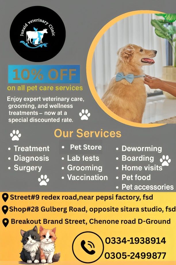 Junaid veterinary Clinic Facebook ad: Get ๐
๐ซ๐๐ ๐๐จ๐ง๐ฌ๐ฎ๐ฅ๐ญ๐๐ง๐๐ฒ For Your Lovely Pets