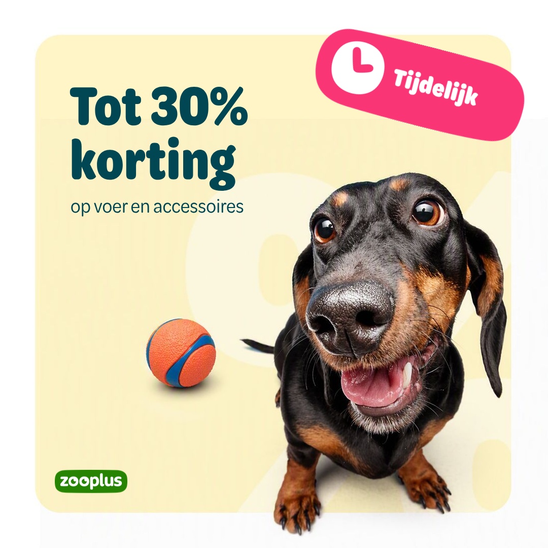 zooplus Facebook ad