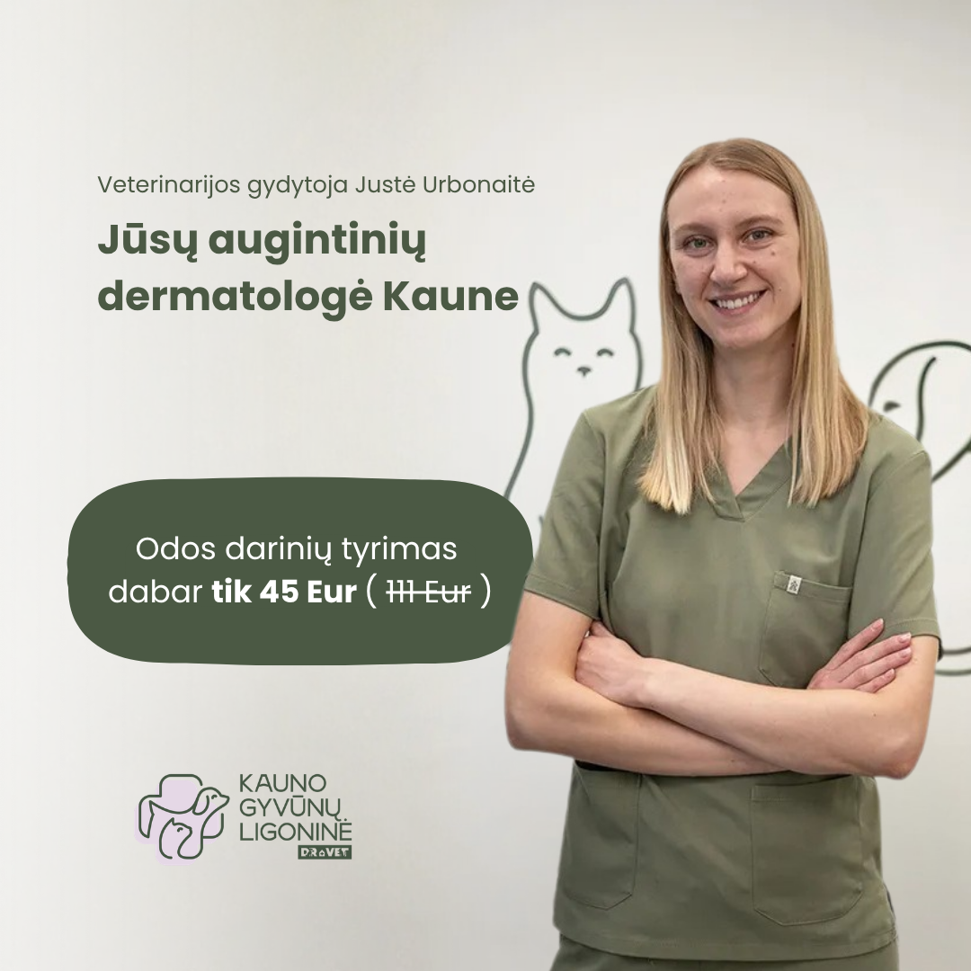 Kauno gyvūnų ligoninė Facebook ad: Už 111 EUR vertės tyrimą dabar mokėkite tik 45 EUR!