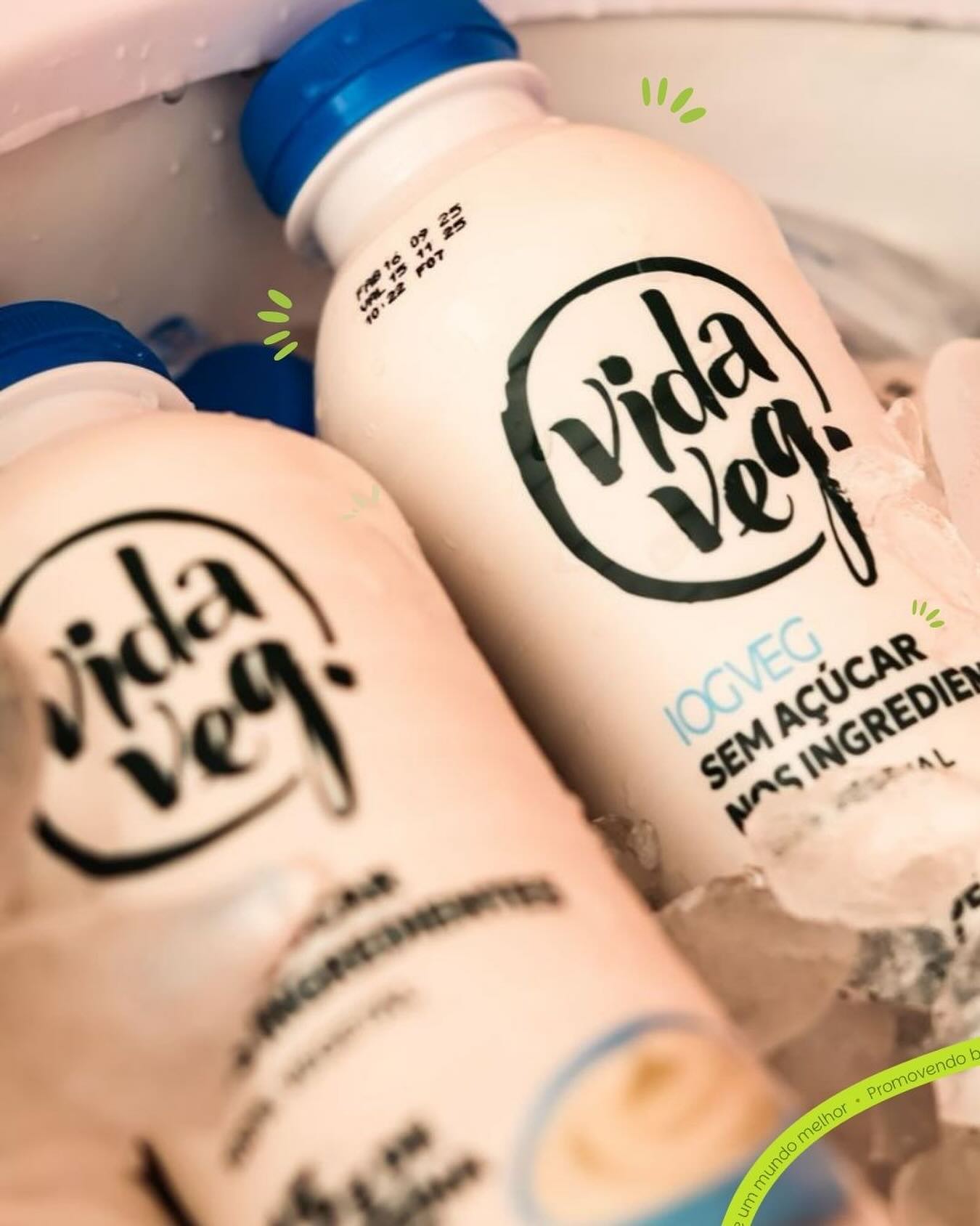 Vida Veg Facebook ad: E esse IogVeg Zero dando sopa, te esperando…