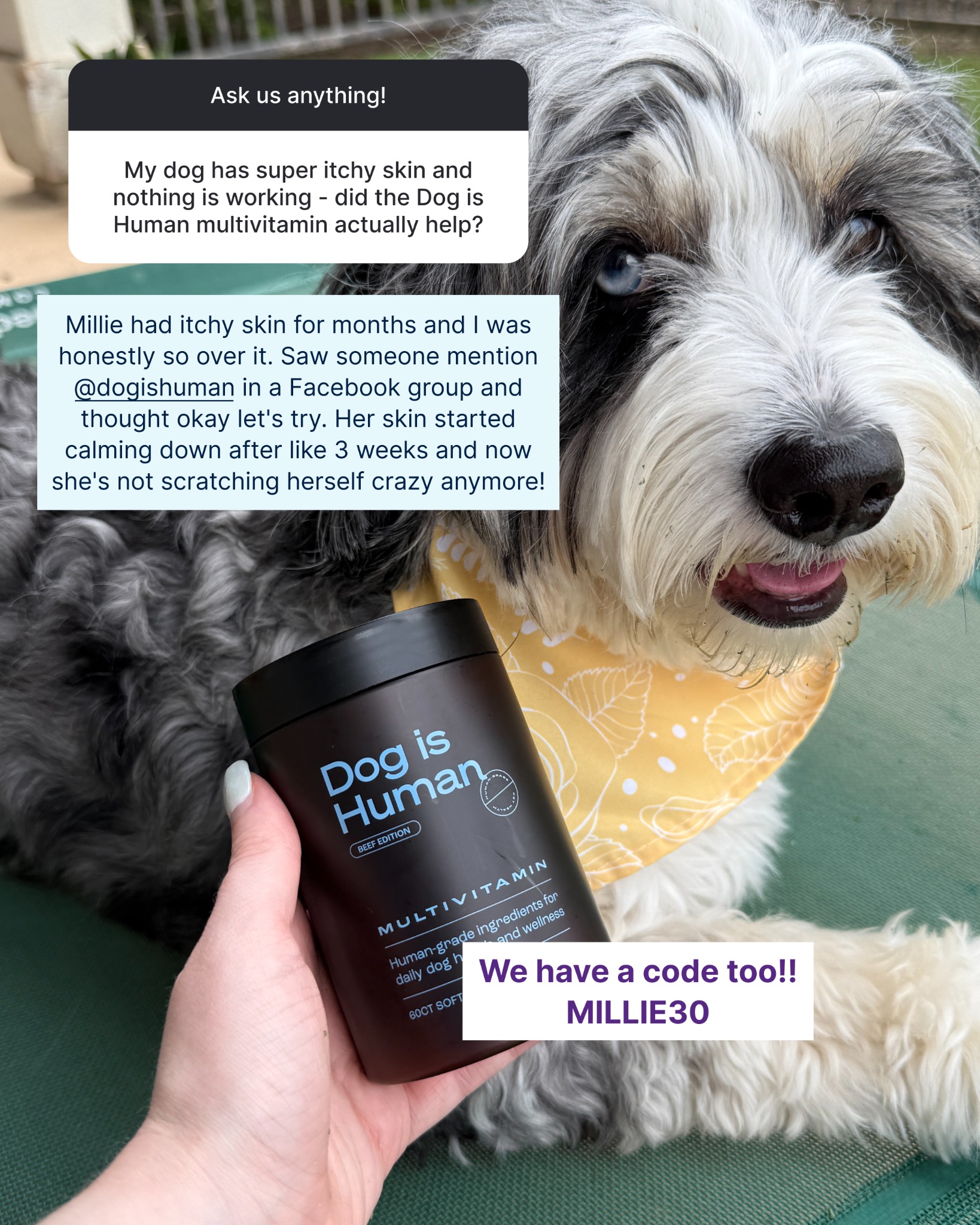 Millie & Annie Facebook ad