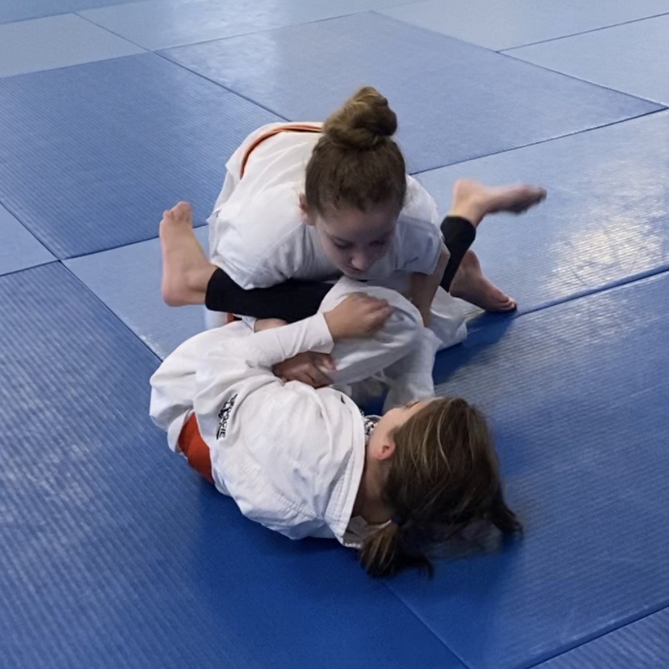 Technique Jiu Jitsu Templestowe Facebook ad