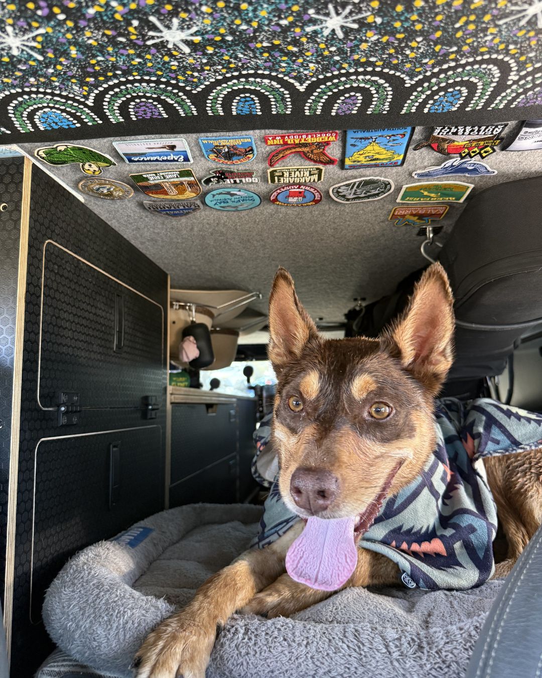 Wetdogandco Facebook ad