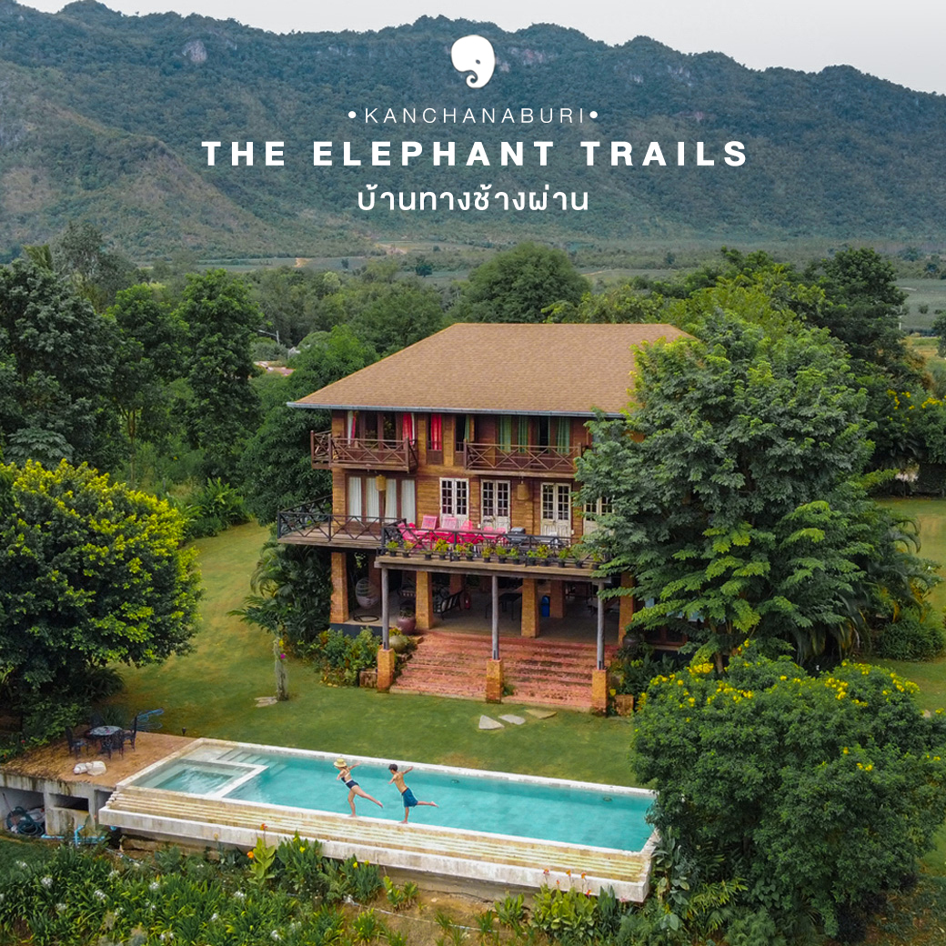 The Elephant Trails บ้านทางช้างผ่าน Facebook ad