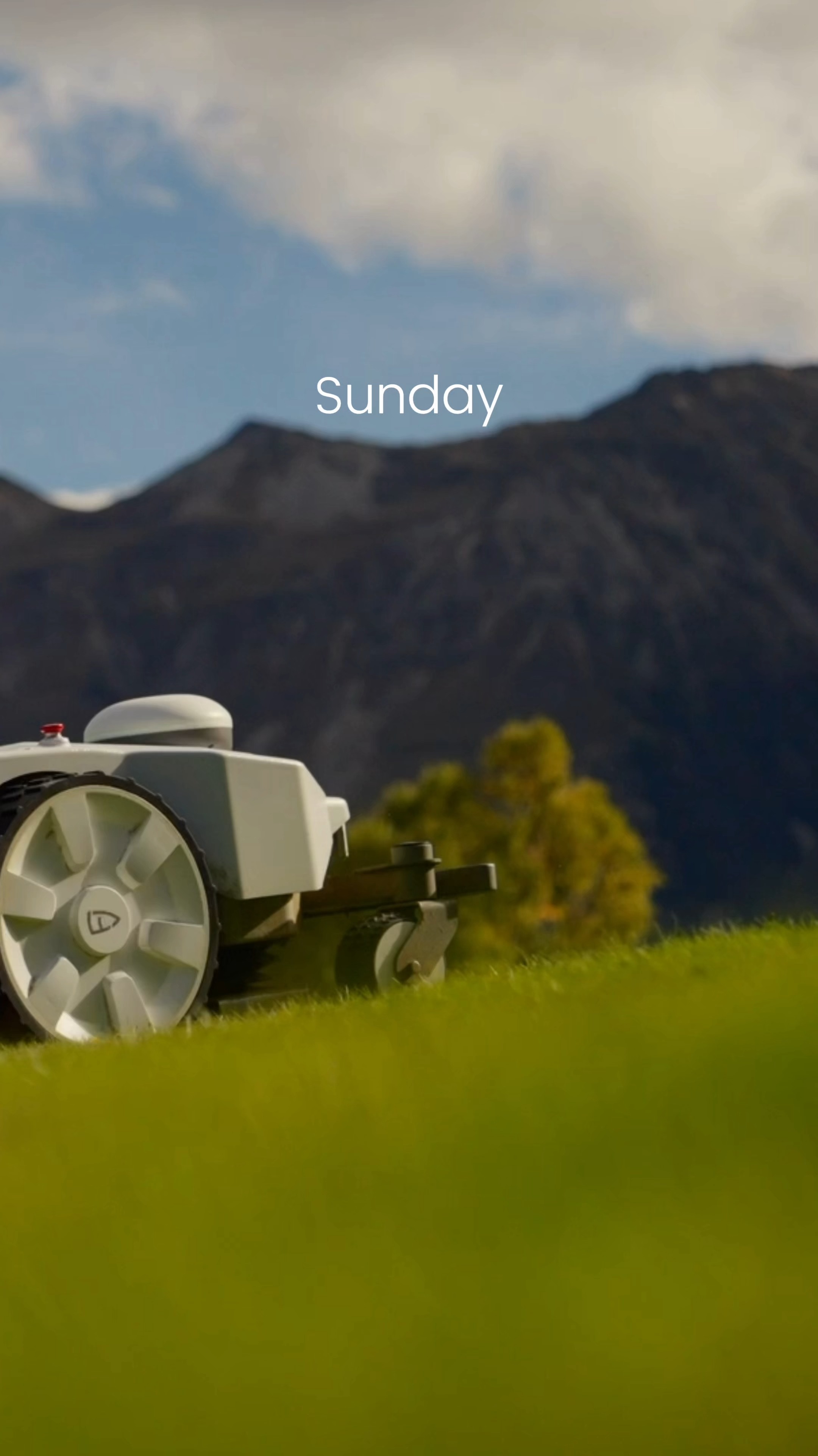 FJD Landscaping Facebook ad: Turf care for the week?