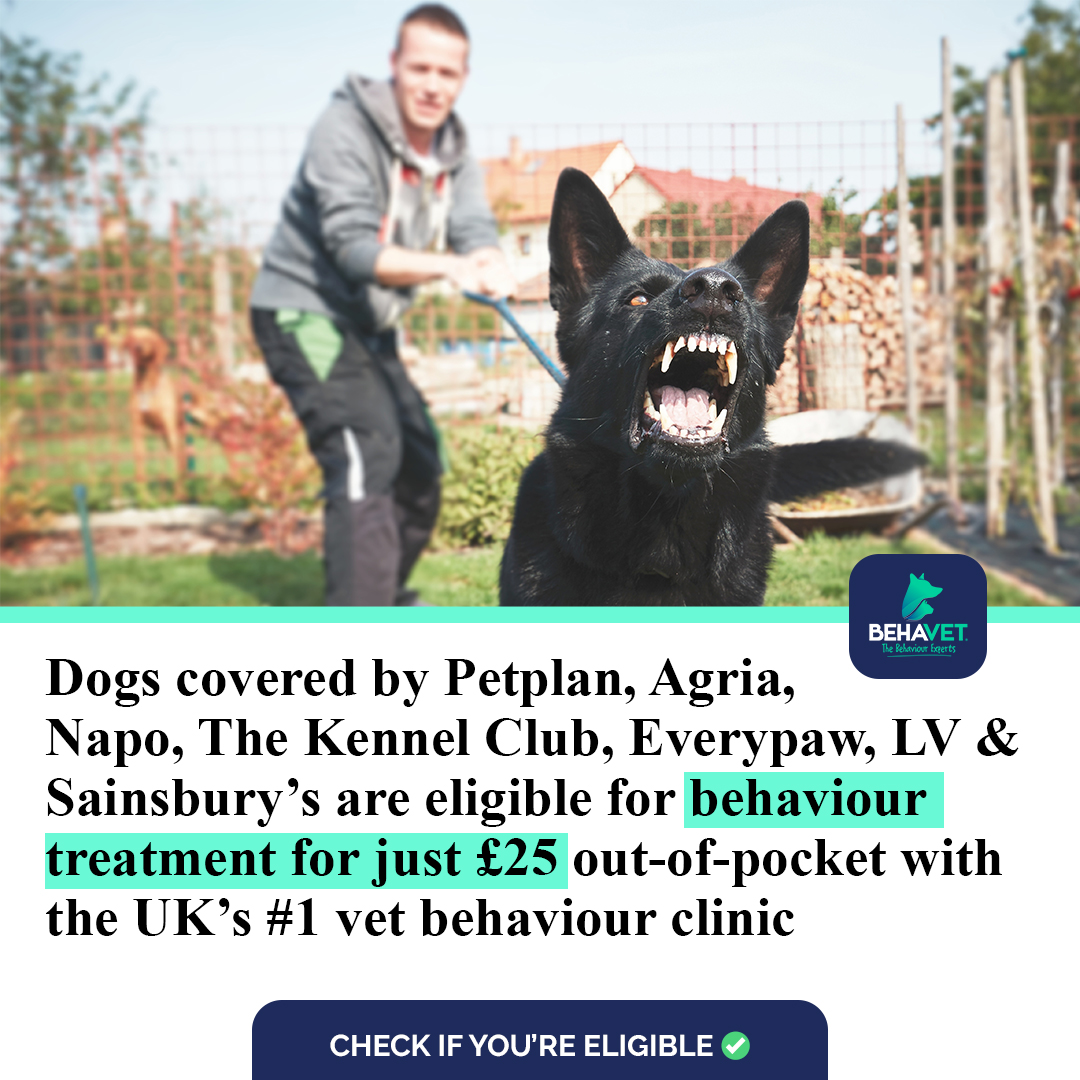 Behavet: The Pet Behaviour Experts Facebook ad