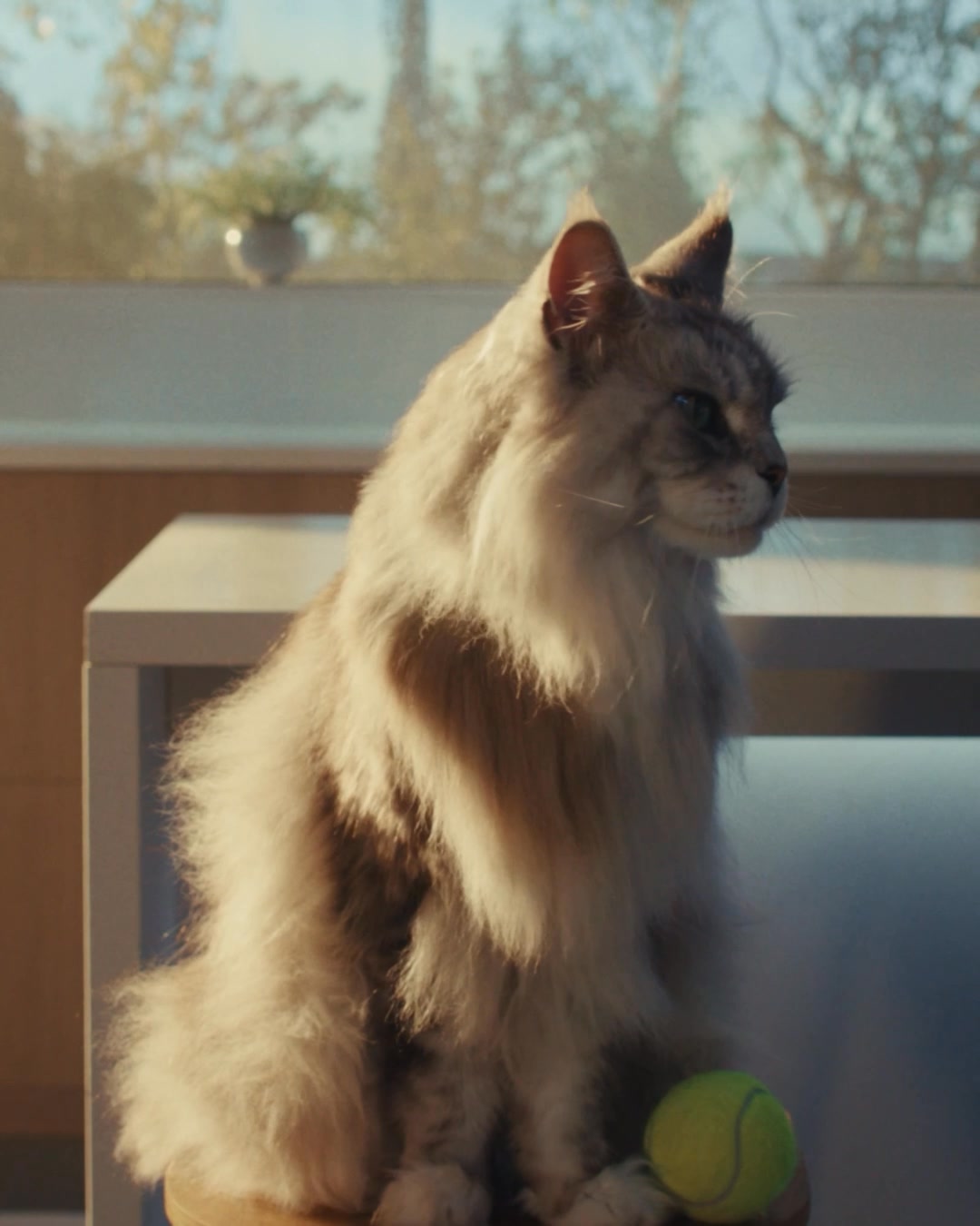 Haier Facebook ad: Up Your Home Game today with Haier