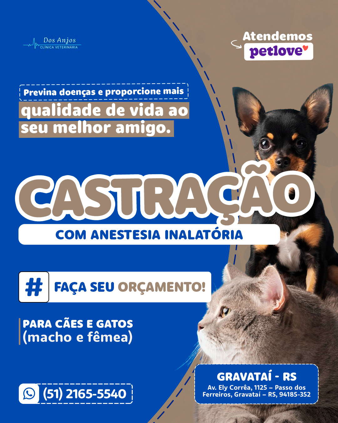 Clínica Veterinária dos Anjos Facebook ad: Converse conosco