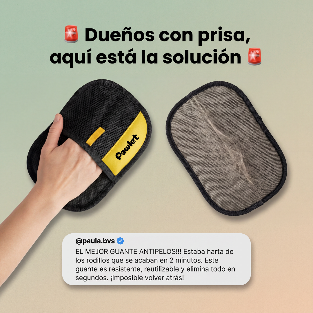 Pawlet Facebook ad