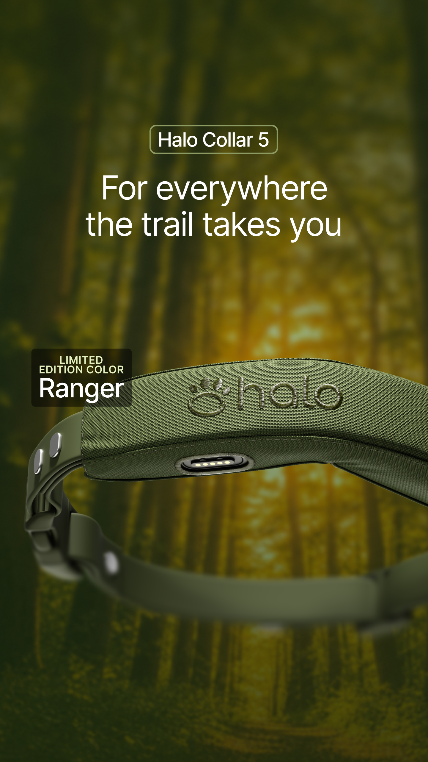 Halo Collar Facebook ad