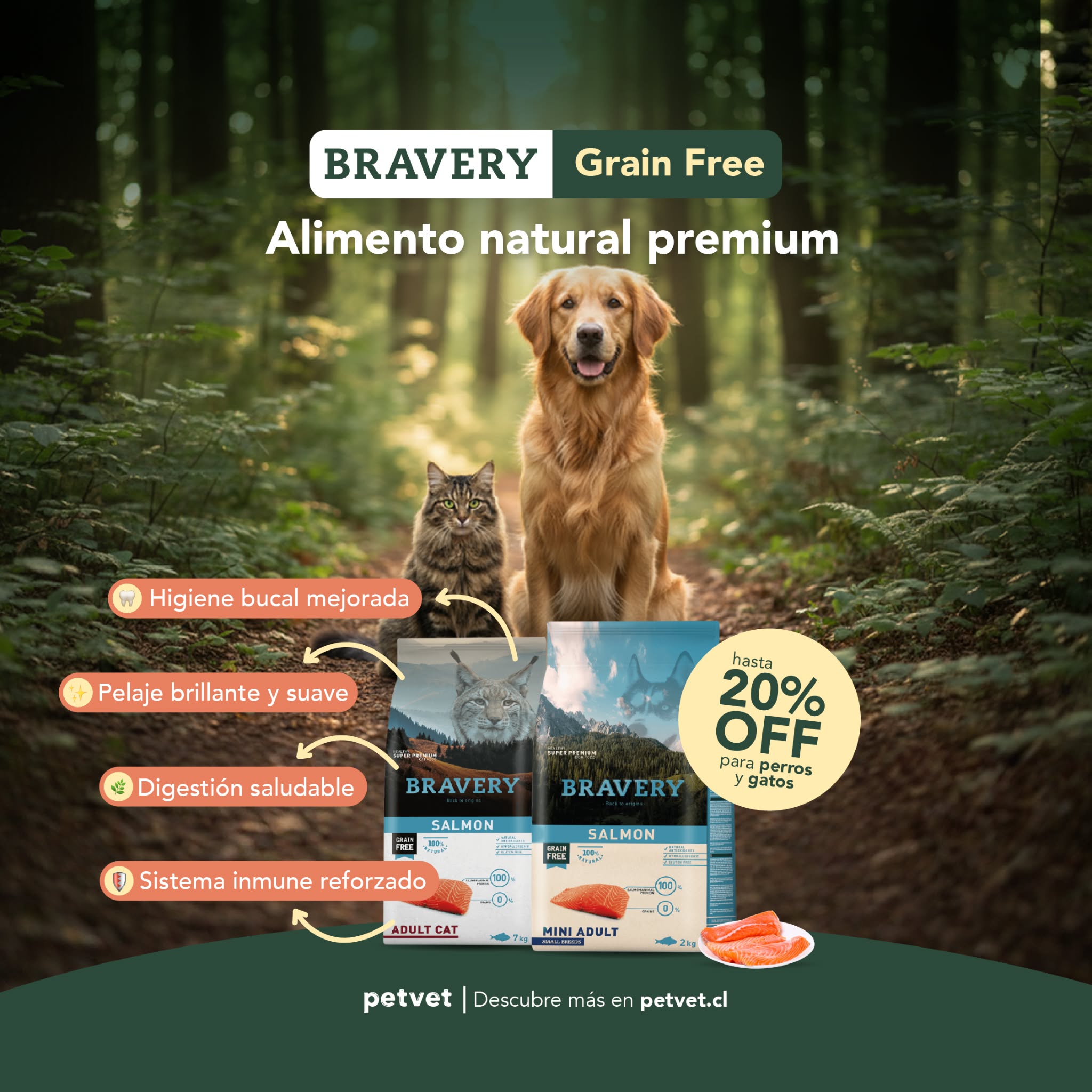 Petvet Chile Facebook ad: Alimento premium para tu mejor amigo
