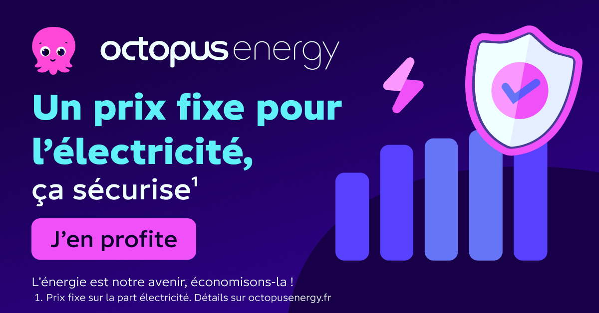 Octopus Energy Facebook ad
