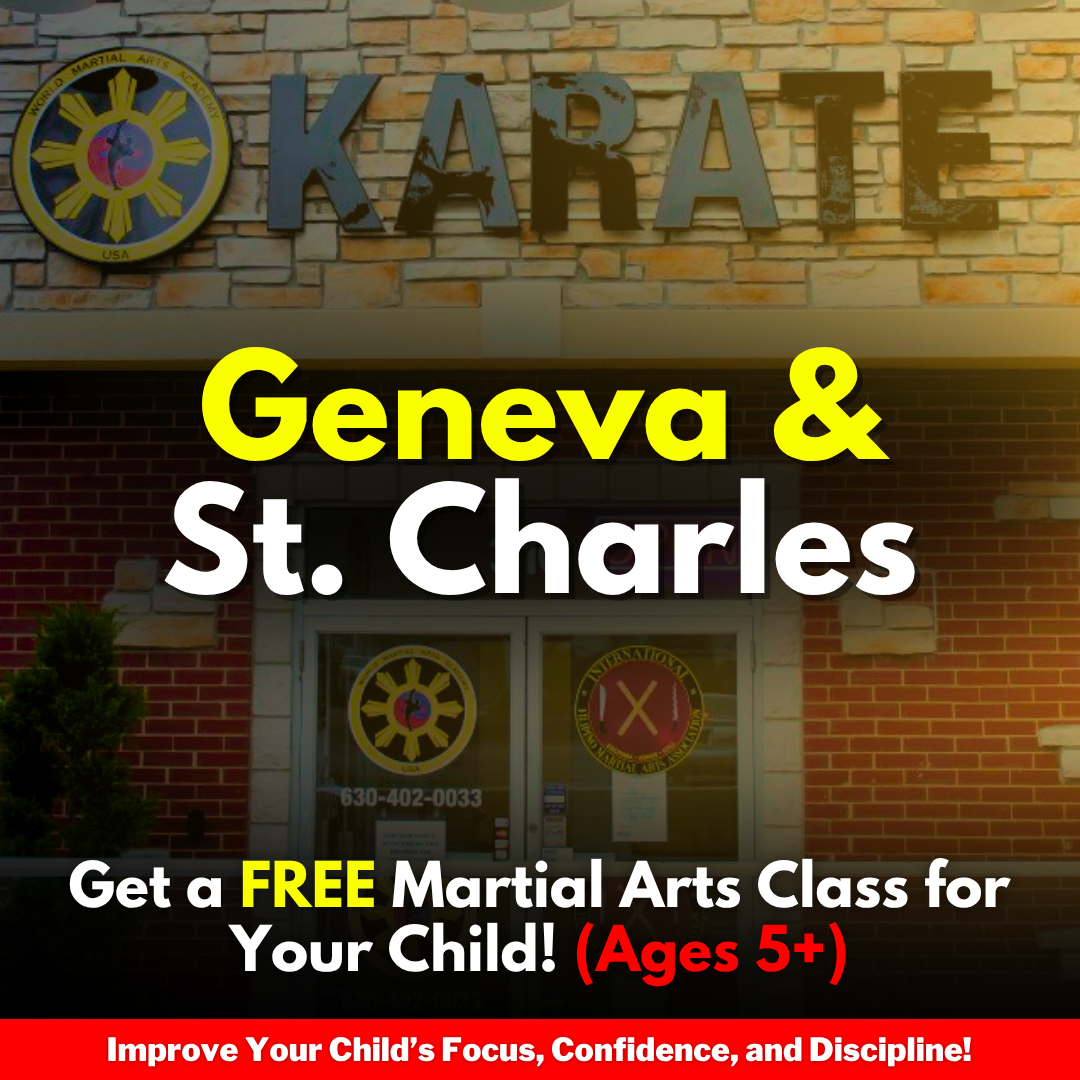 World Martial Arts Academy USA Facebook ad