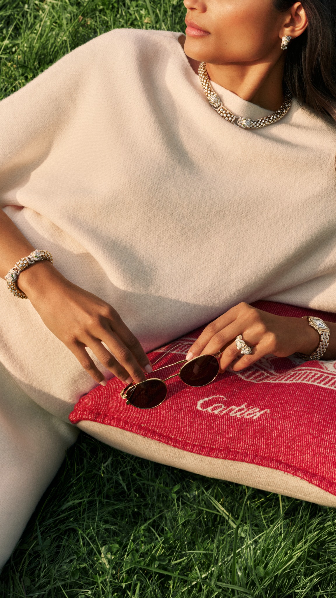 Cartier Facebook ad