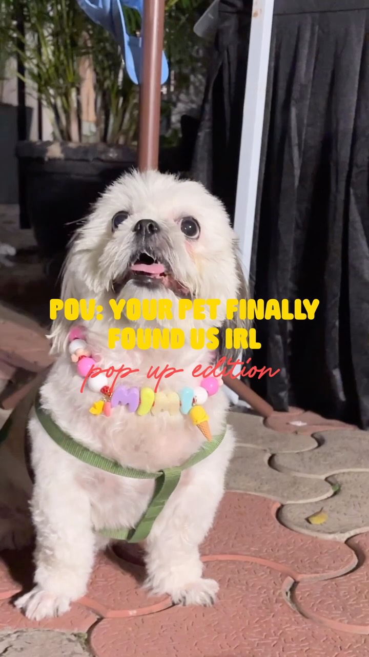 Uncollared Club Facebook ad: Your pet found us IRL