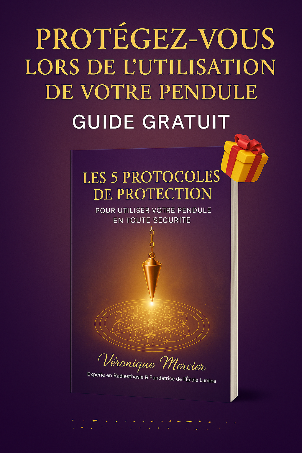 Ecole Lumina Facebook ad