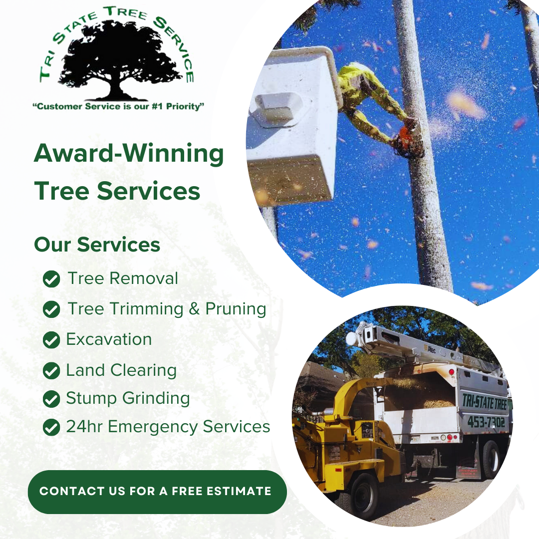 Tri State Tree Service Facebook ad from Jan 30, 2026