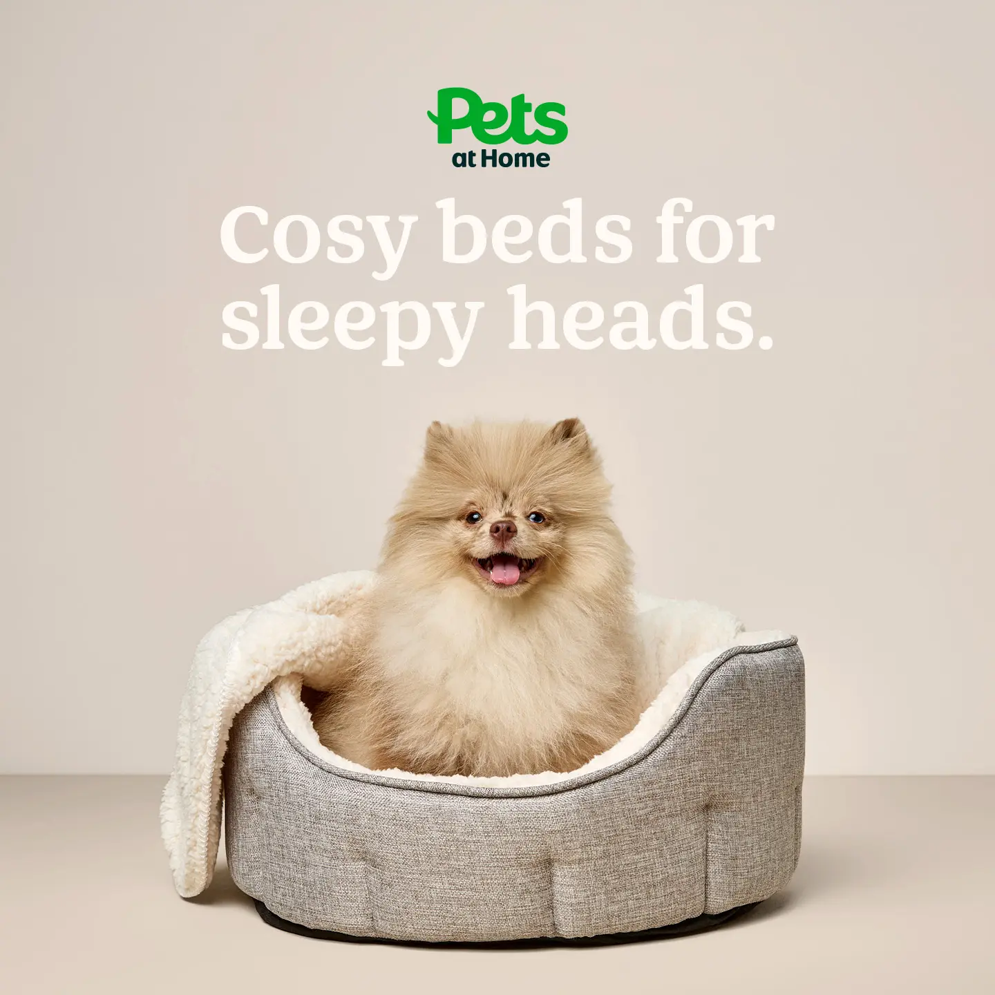 Pets UK Facebook ad: Shop dog beds today