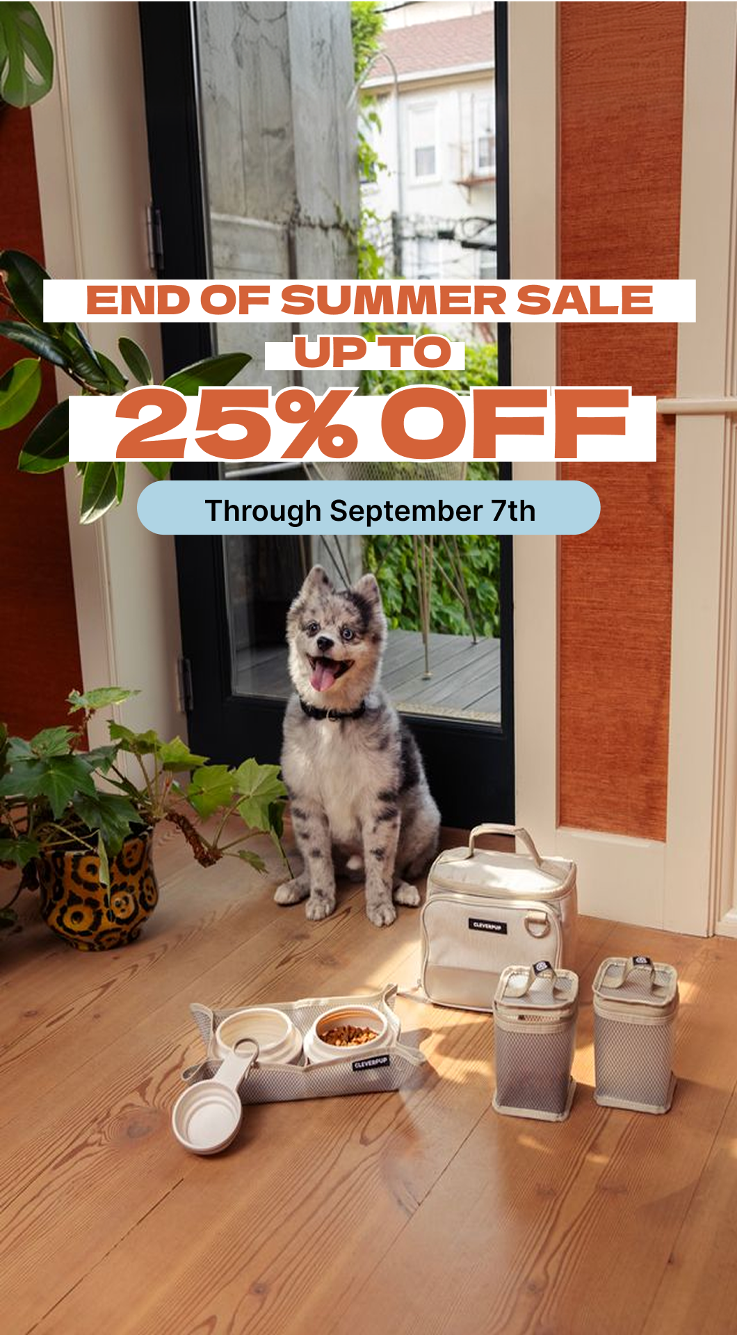 Cleverpup Facebook ad