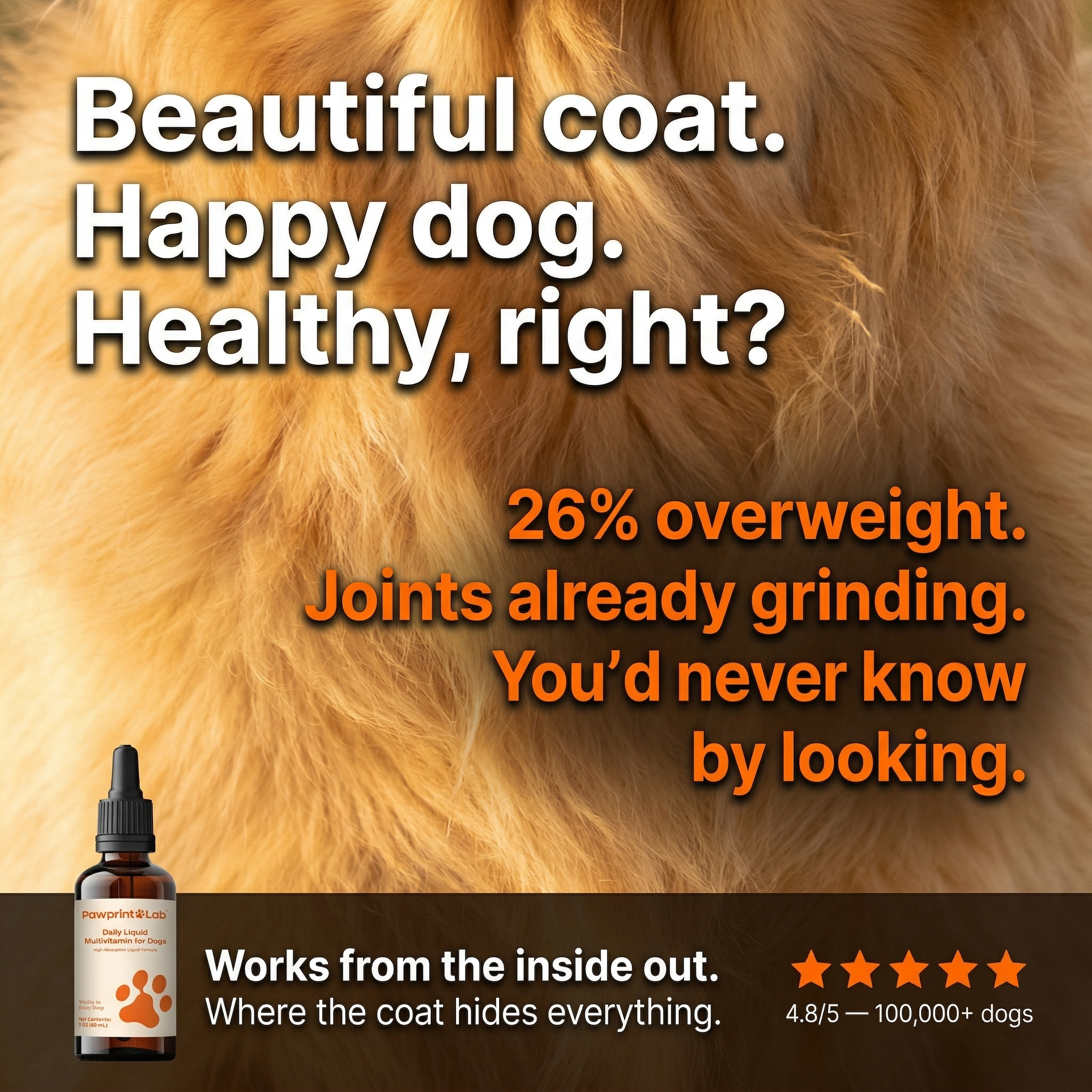 Vet-Approved Pet Products Facebook ad