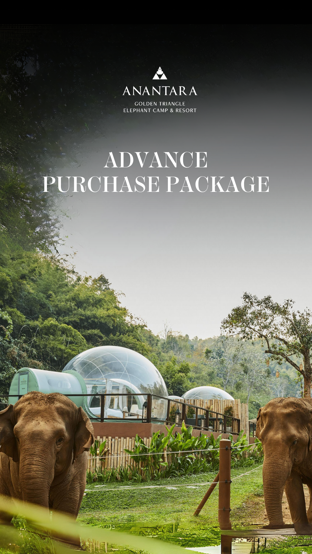 Anantara Golden Triangle Elephant Camp & Resort Facebook ad