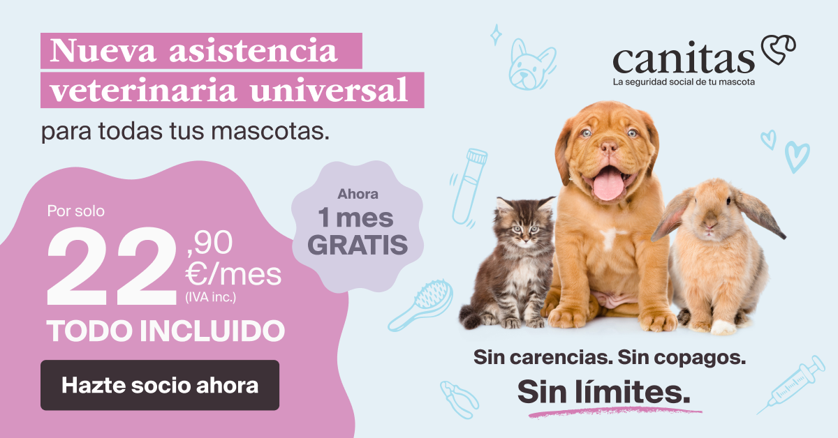 Canitas Veterinaria Facebook ad from Jul 13, 2026