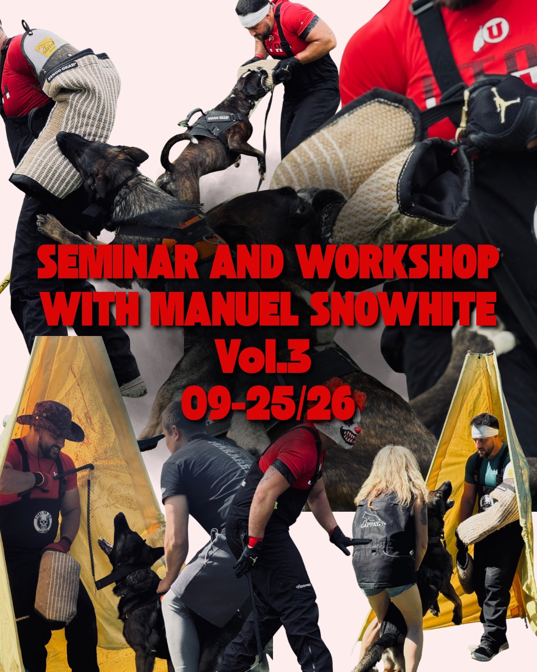 TN PROFI Šunų Dresūros Mokykla Facebook ad: SEMINAR AND WORKSHOP WITH MANUEL SNOWHITE Vol.3 09-25/26