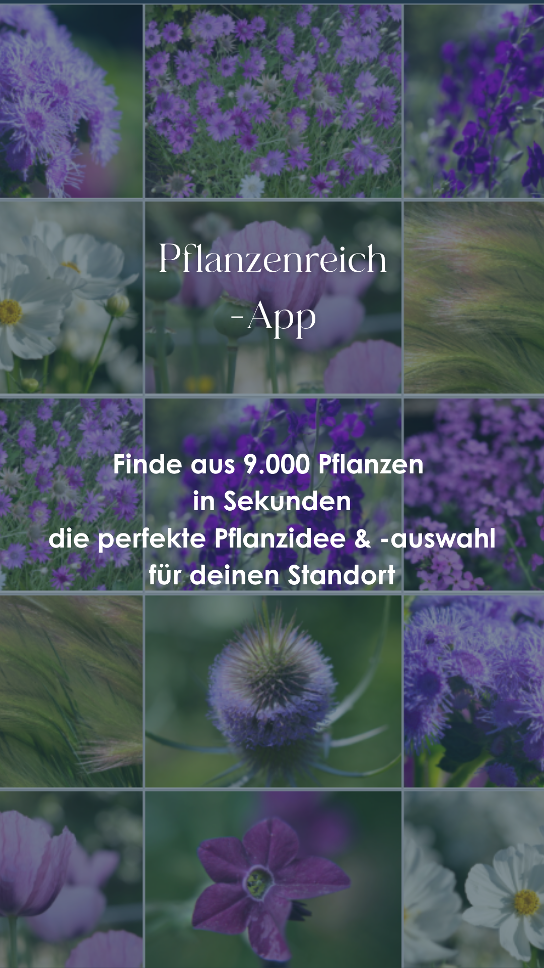 Petra Pelz Design natürlich - Pflanzplanung Facebook ad from Mar 23, 2026