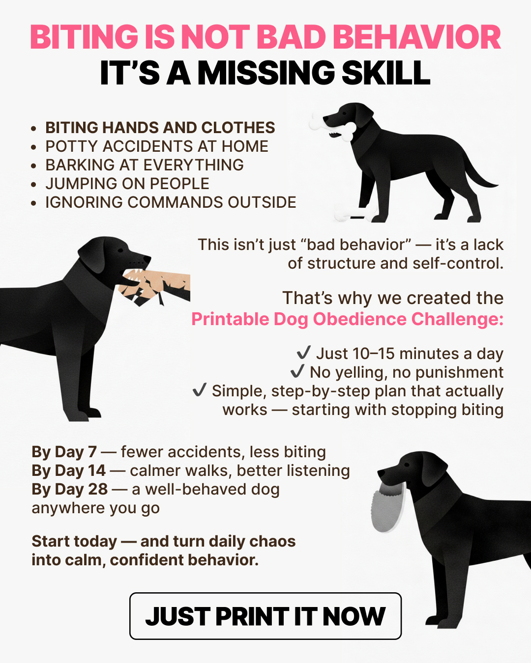 Ben Your Puppy Trainer Facebook ad