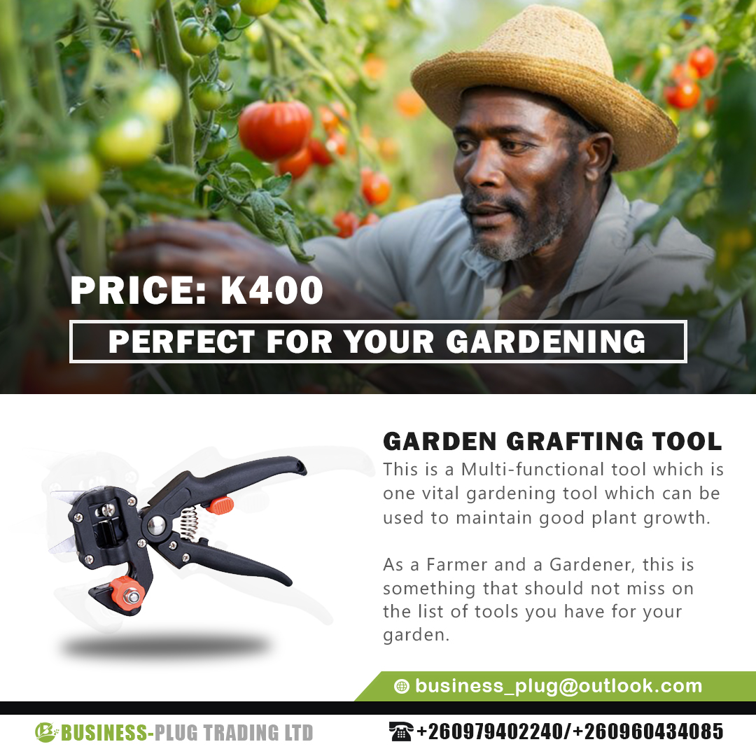 Business-Plug Trading Ltd Facebook ad