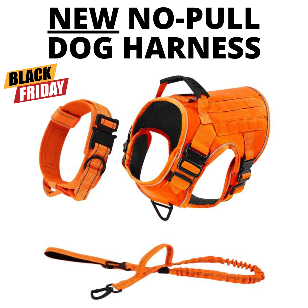 Team K9 Facebook ad