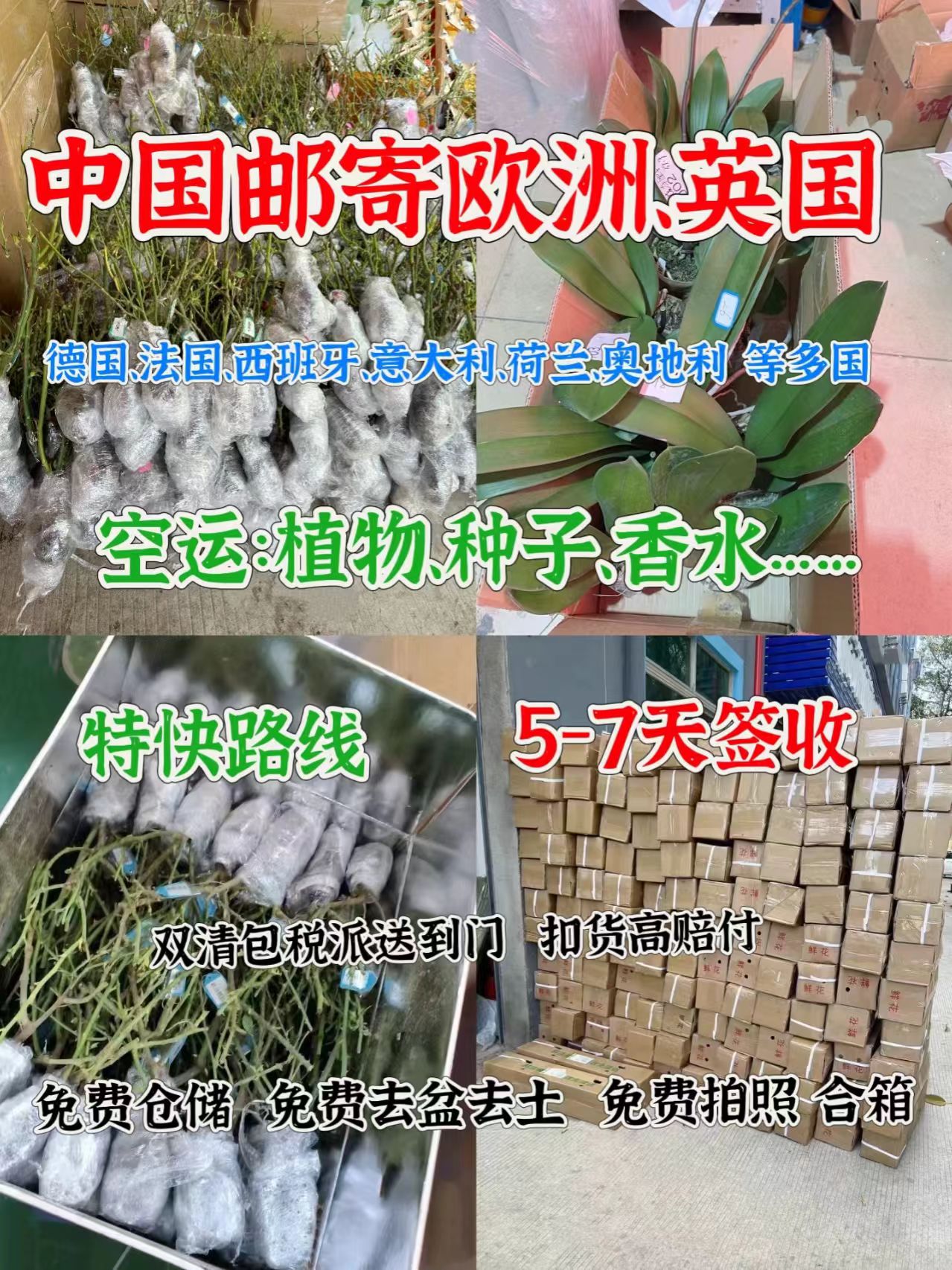 晟懋国际货运公司 Facebook ad: 多肉植物运输中国寄美国