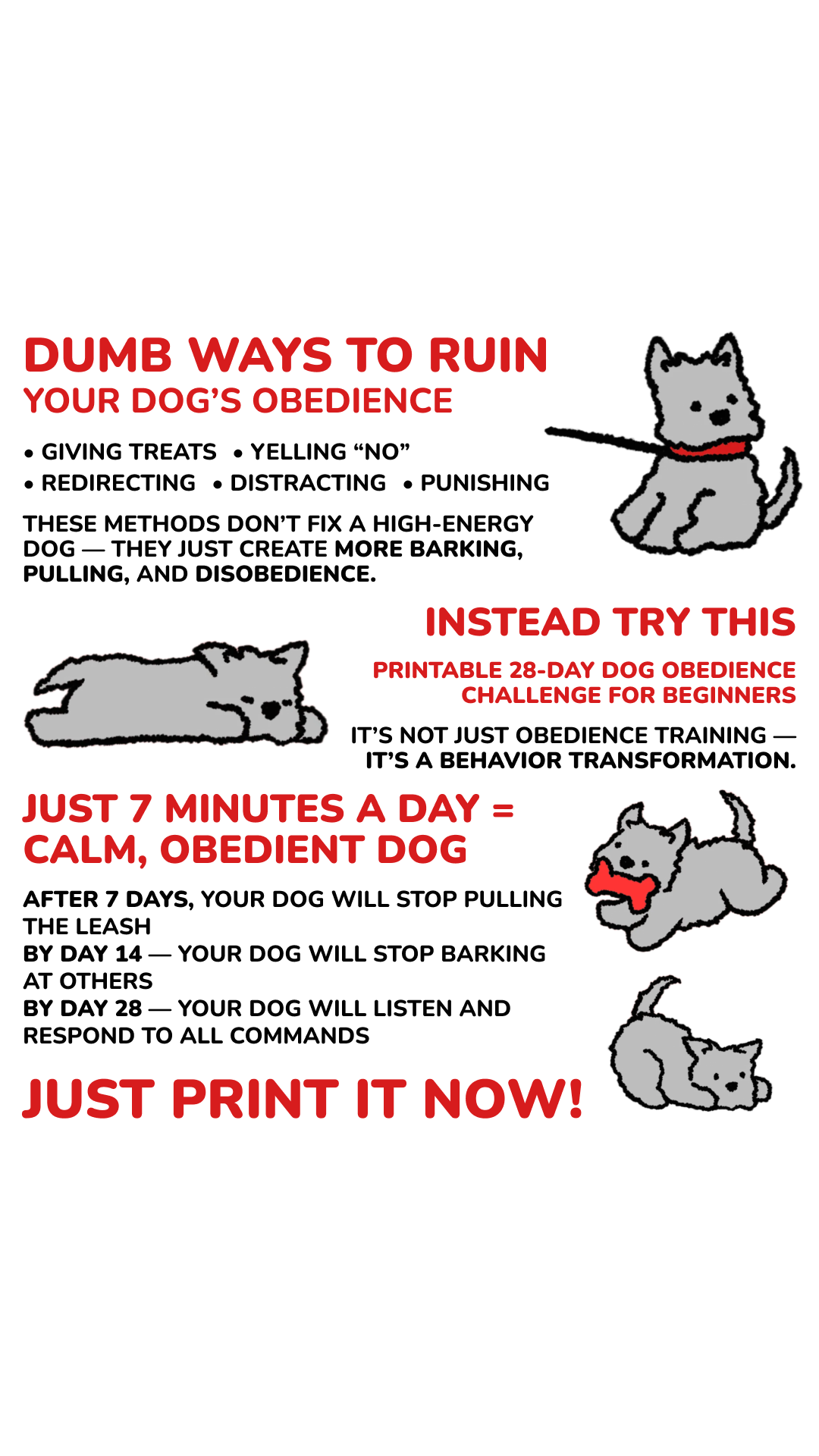 28 Day Dog Obedience Challenge Facebook ad