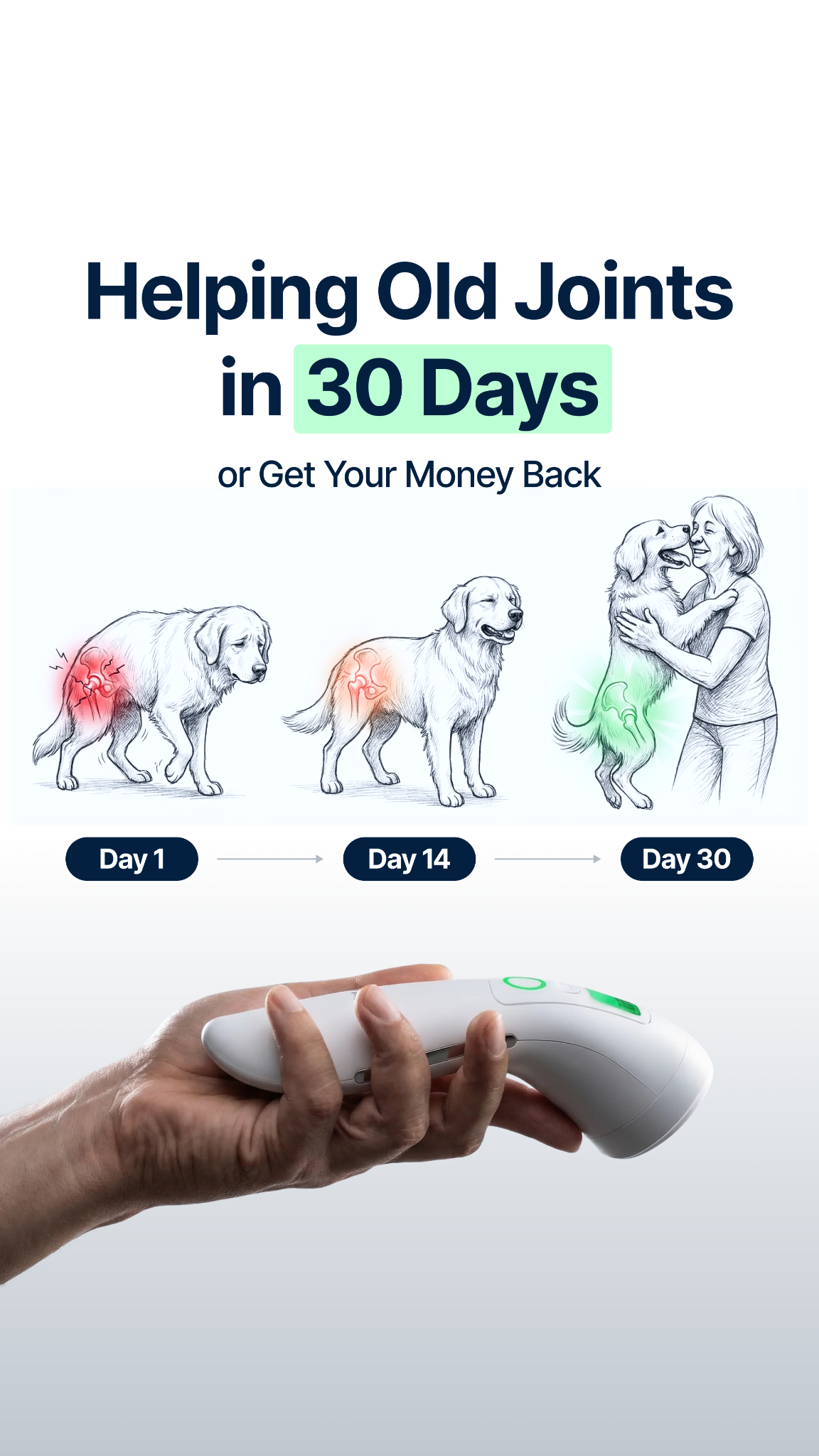 Helio Pet Facebook ad