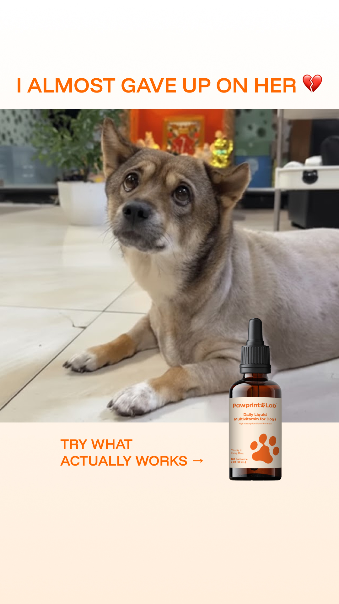 Pawprint Lab Facebook ad from Feb 6, 2026