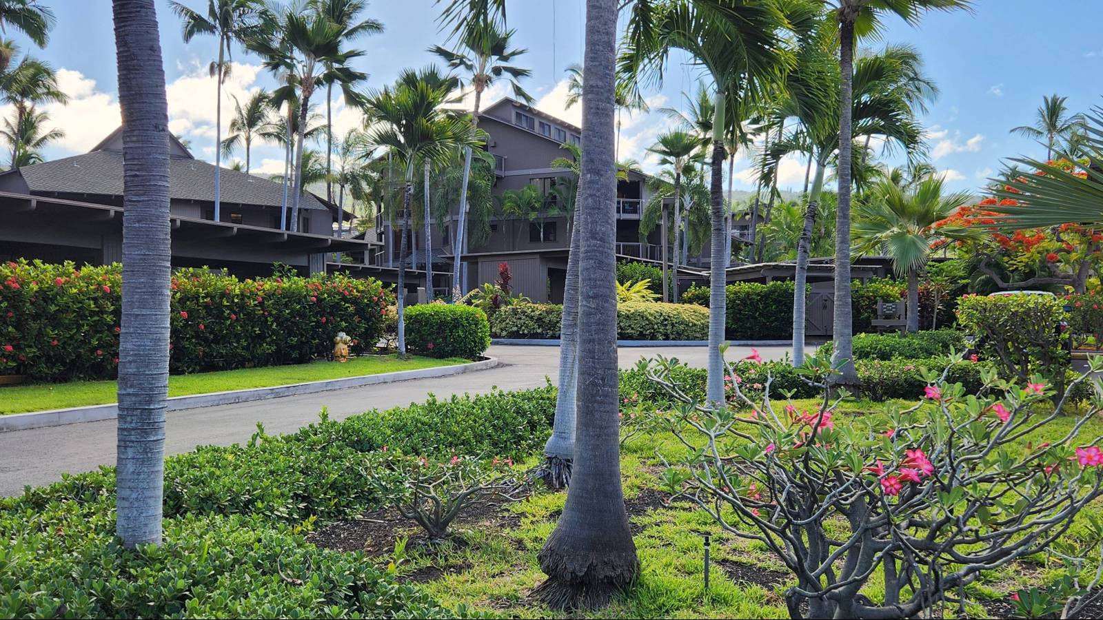 Hawaii Life Real Estate Brokers Facebook ad