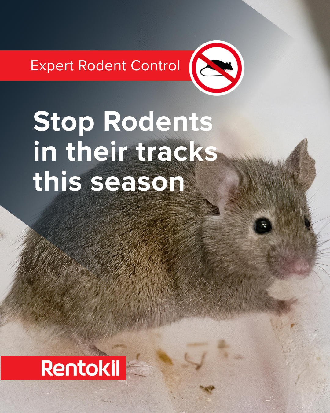 Rentokil Pest Control Australia Facebook ad: Get Your Free Quote